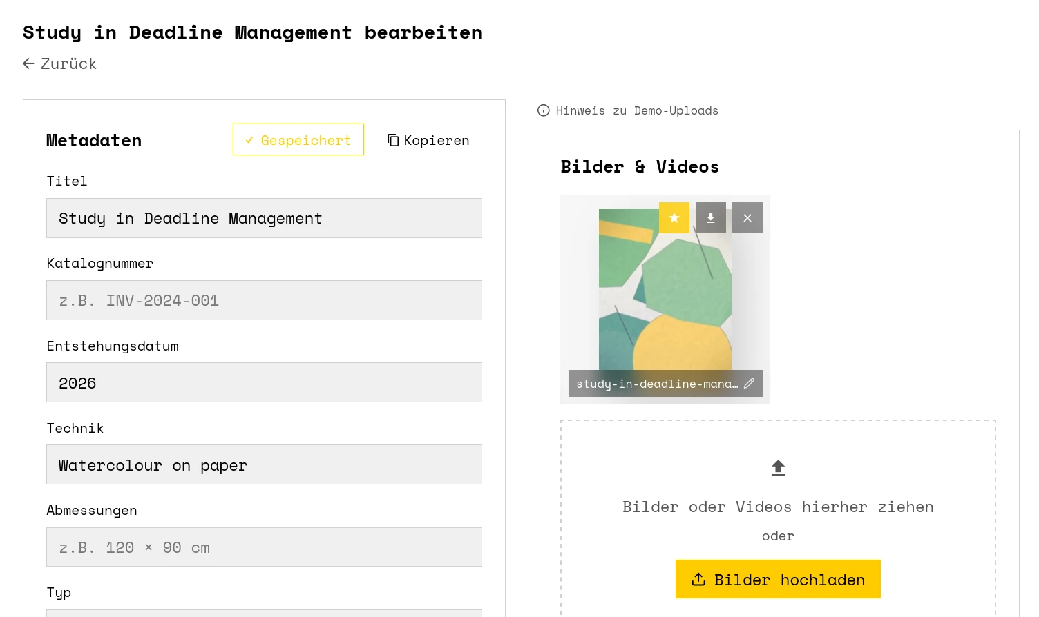 Die Werkansicht in COTO: Metadaten links, Bilder und Videos des Werks rechts.